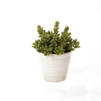 9'' Faux Succulent Plant in Ceramic Vase - Image 0