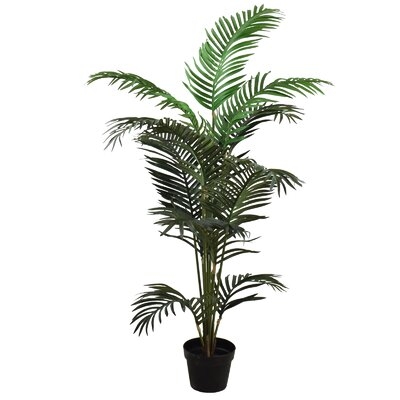 Palm Tree in Pot - Image 0