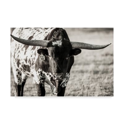 'Longhorn Portrait Centered' Photographic Print on Wrapped Canvas - Image 0