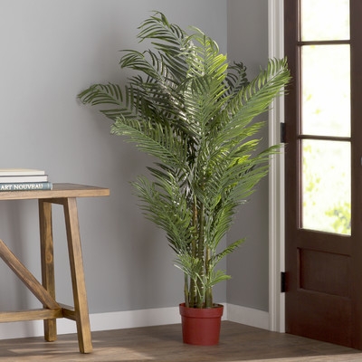 Areca Palm Tree Floor Plant in Pot - Image 0