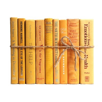Authentic Decorative Books - By Color Modern Daffodil ColorPak (1 Linear Foot, 10-12 Books) - Image 0