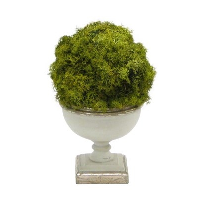 Ball Moss Topiary in Urn - Image 0