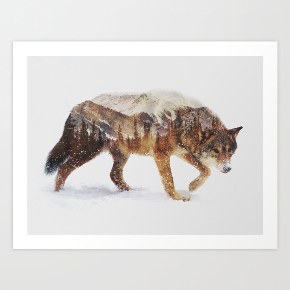 Arctic Wolf Art Print by Andreas Lie - Small - Image 0