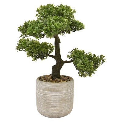 Desktop Bonsai Tree in Pot - Image 0