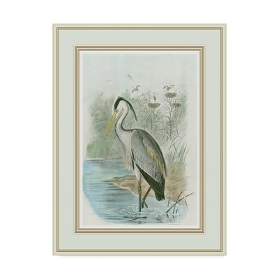 'Common Heron' Print on Wrapped Canvas - Image 0