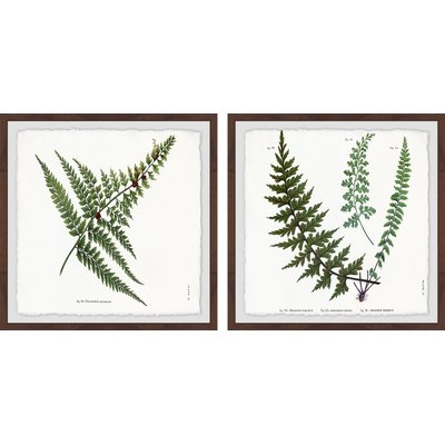 'Fern Leaves Diptych' 2 Piece Framed Graphic Art Print Set - Image 0