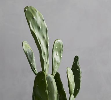 Faux Potted Opuntia Cactus, XS - Image 2