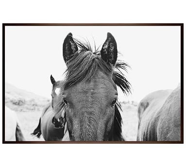 Hello There Framed Print by Jennifer Meyers, 28x42", Wood Gallery Frame, Espresso, No Mat - Image 0
