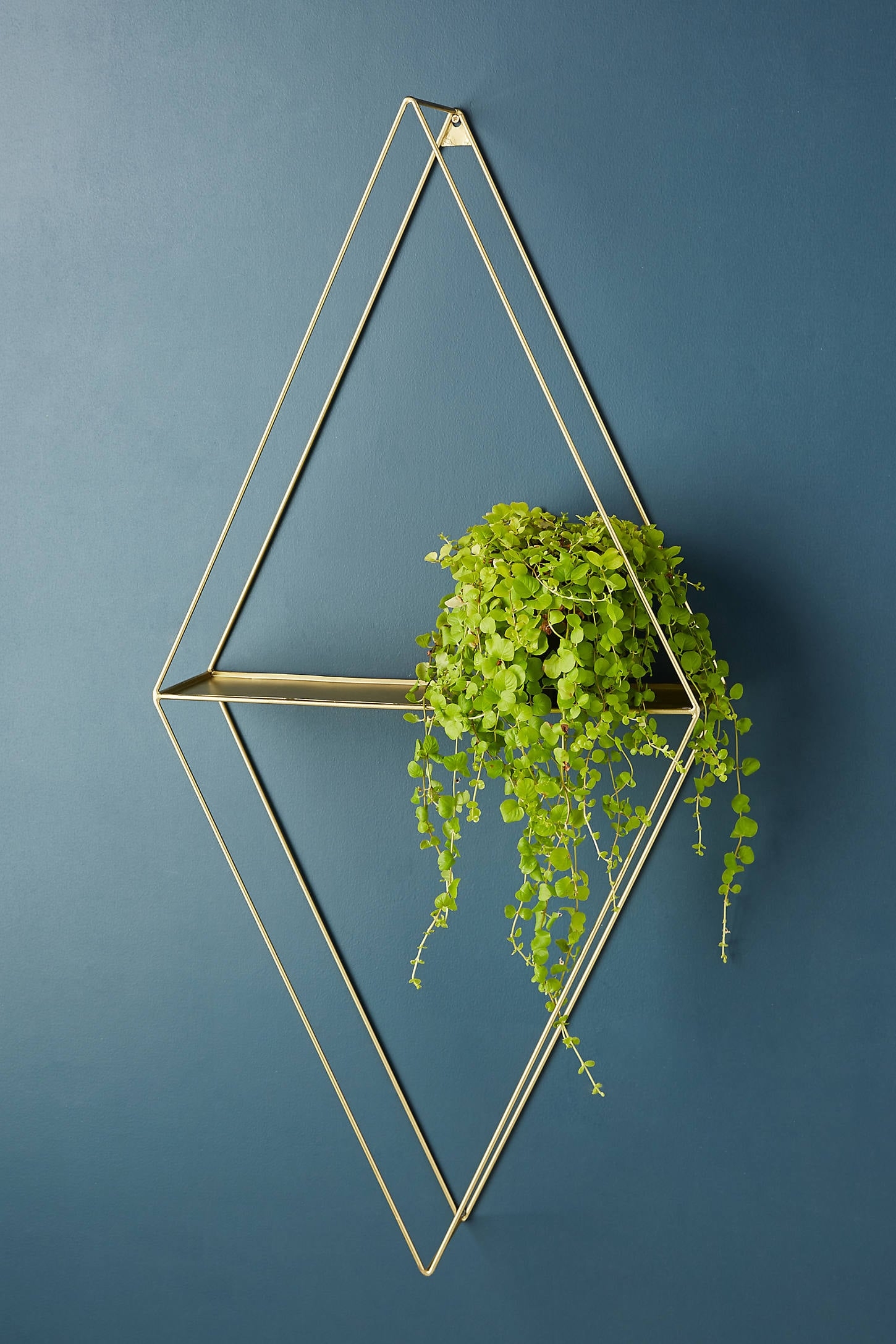 Quincy Shelf - Image 0