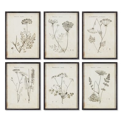 'Wild Flower' 6 Piece Framed Graphic Art Print Set - Image 0
