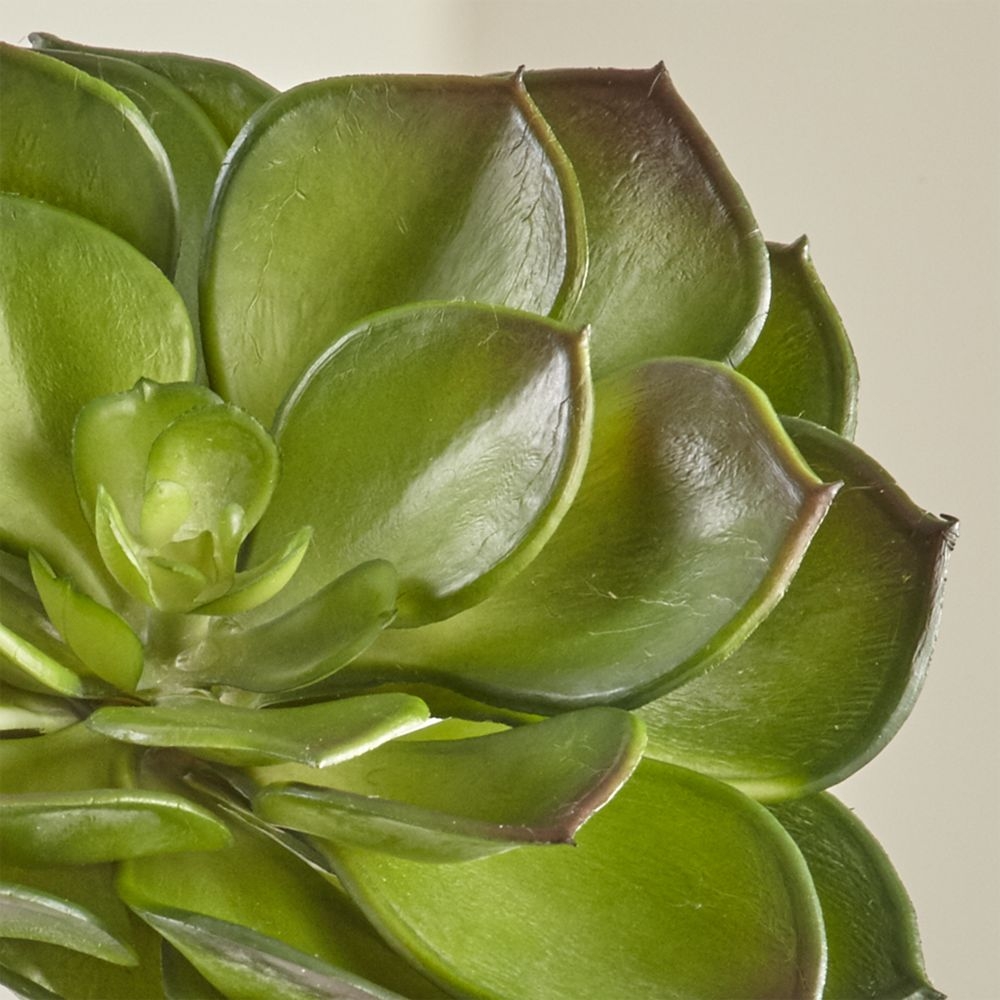 Faux Echeveria Green Succulent Stem - Image 1