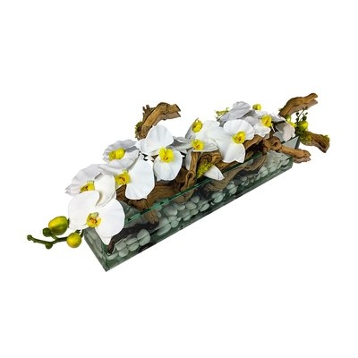 Phalaenopsis Orchid Floral Arrangement in Glass Vase - Image 0