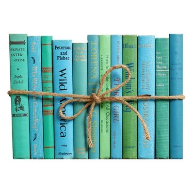 Authentic Decorative Books - By Color Midcentury Ocean ColorPak (1 Linear Foot, 10-12 Books) - Image 0