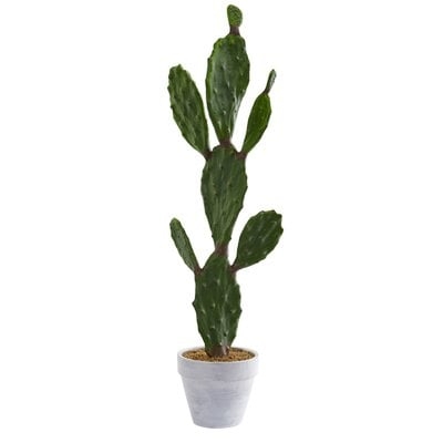 Artificial Cactus Plant in Pot - Image 0
