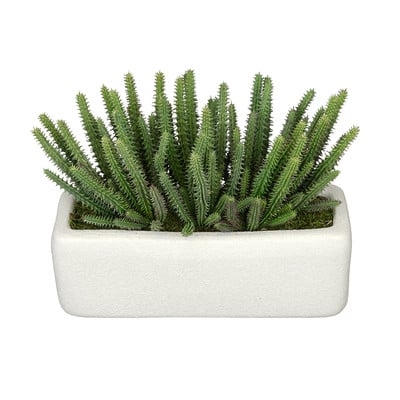 Artificial Organ Pipe Cactus Plant Decorative Vase - Image 0