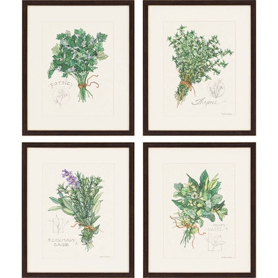 'Herbs' 4 Piece Picture Frame Graphic Art Set - Image 0