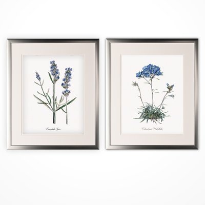 'Lavender' 2 Piece Framed Graphic Art Print Set - Image 0