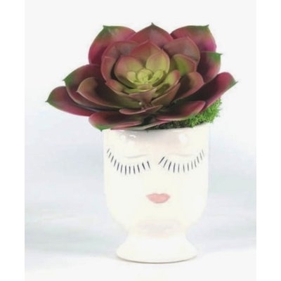 Succulent Plant in Decorative Vase - Image 0