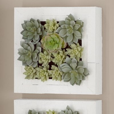 Artificial Wall Arrangement Succulent Plant in Planter - Image 0