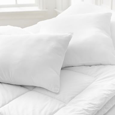 Design Crew Basics Pillow Insert, Standard - Image 3