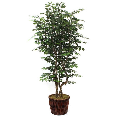 Faux Ficus Tree in Planter, 90" - Image 0
