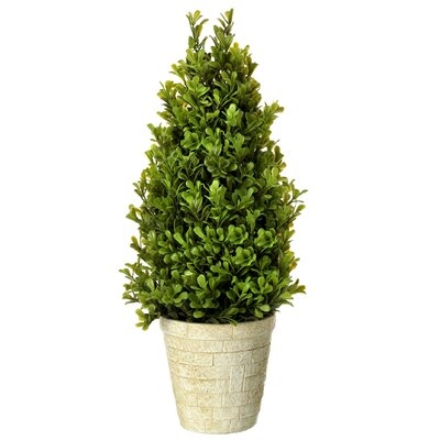 Spring Boxwood Topiary in Pot - Image 0
