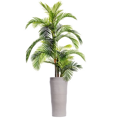 Fiberstone Floor Palm Tree in Planter - Image 0