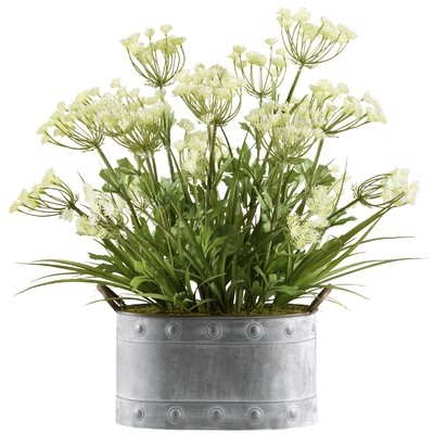 Queen Anne's Lace and Grass Floor Flowering Plant in Planter - Image 0