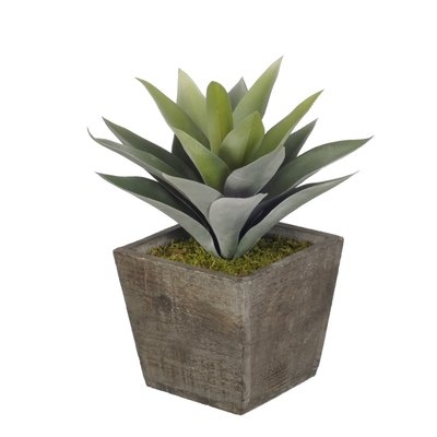 Artificial Frosted Green Succulent Desk Top Plant in Pot - Image 0