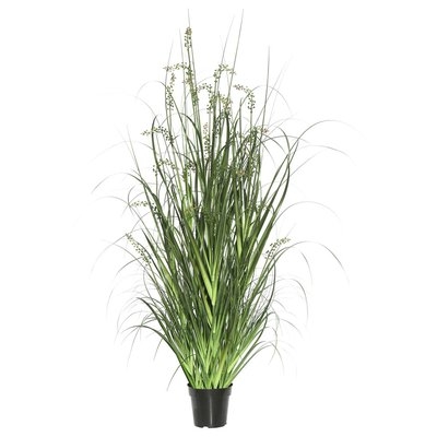 Artificial Potted Sheep's Floor Foliage Grass in Pot - Image 0