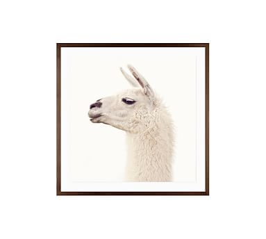 Llama by Jennifer Meyers, 25 x 25", Wood Gallery, Espresso, Mat - Image 0