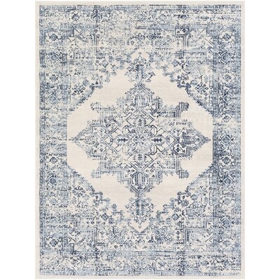 Mac Distressed Traditional Teal/Ivory Area Rug 9x12 - Image 0
