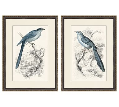 Traditional Bird Paper Print, Set of 2 - Image 0