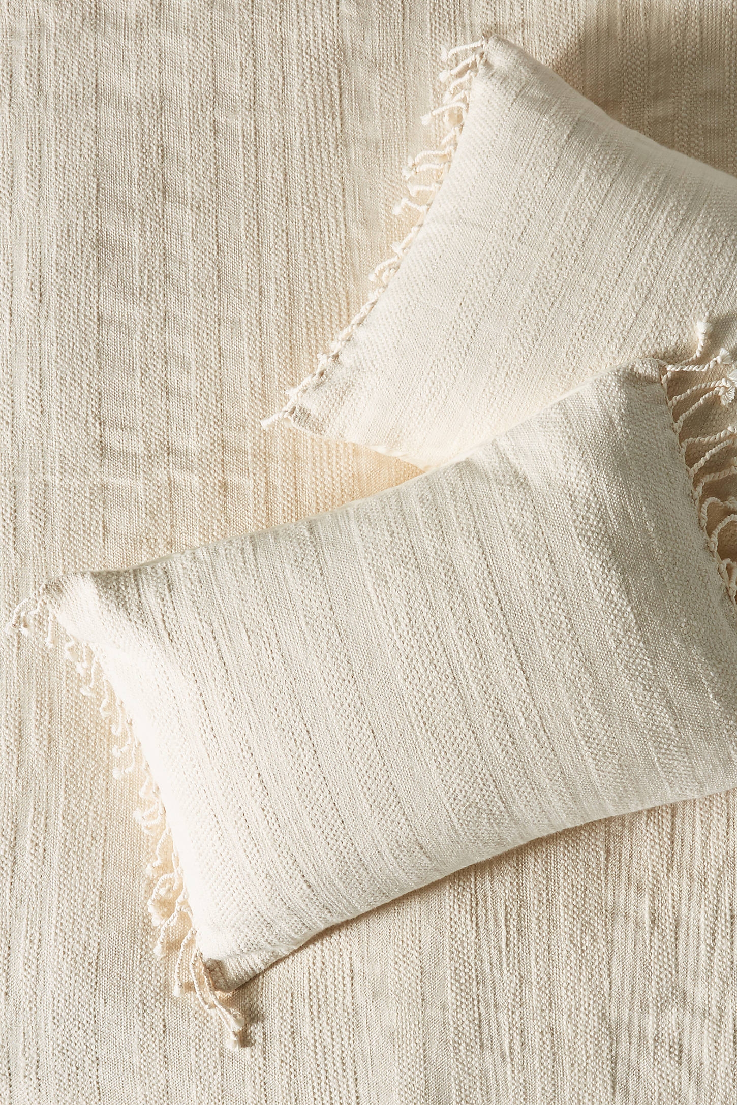 Woven Halley Shams, Set of 2 - Image 0