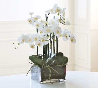 Faux Orchid Phalaenopsis Arrangement in Square Vase, White - 19" - Image 3