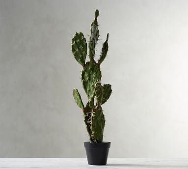 Faux Potted Opuntia Cactus - Large - Image 0