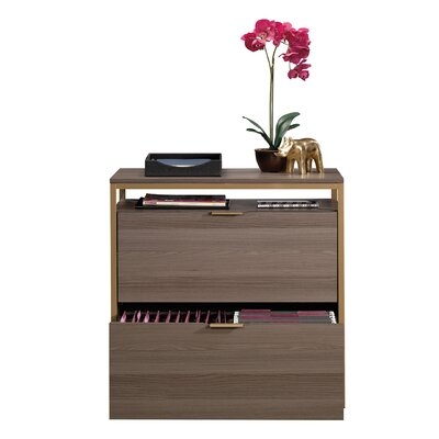 Haight 2-Drawer Lateral Filing Cabinet - Image 1