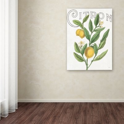 'Classic Citrus V' Graphic Art Print on Wrapped Canvas - Image 0