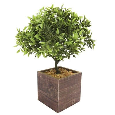 Leaf Bonsai Tree in Pot - Image 0
