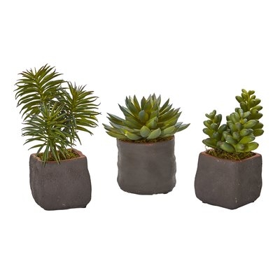 3 Piece Succulent Desktop Plant Set - Image 0