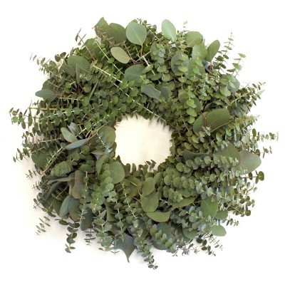 Eucalyptus Wreath, 20" - Image 0