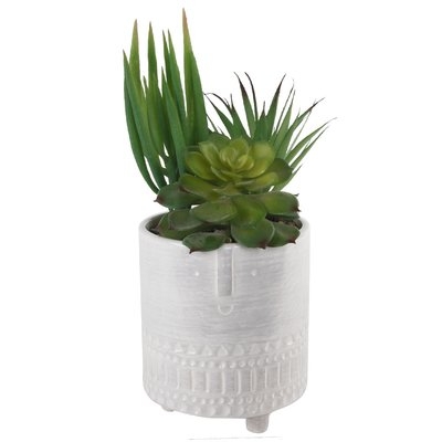 Ceramic Desktop Succulent Plant - Image 0