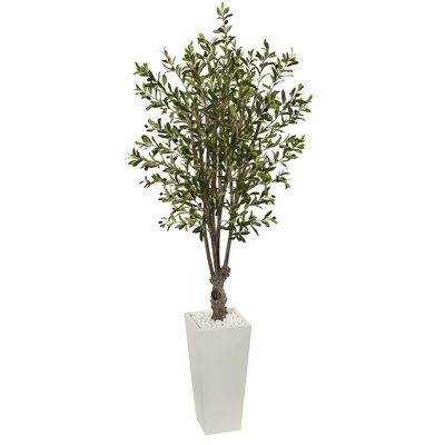 6' Olive Ficus Plant in Tower Planter - Image 0