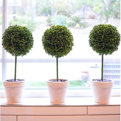 Faux Preserved Boxwood Floor Topiary in Pot - Image 0