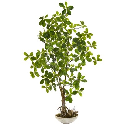 Faux Schefflera Bonsai Tree in Pot - Image 0