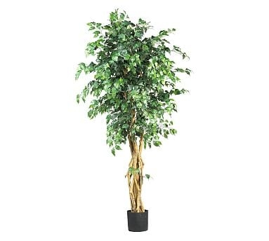 Faux Potted Palace Style Ficus Tree, 6' - Image 0