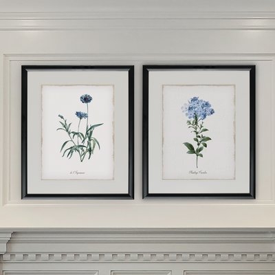 'Imperial Blue' 2 Piece Framed Graphic Art Print Set - Image 0