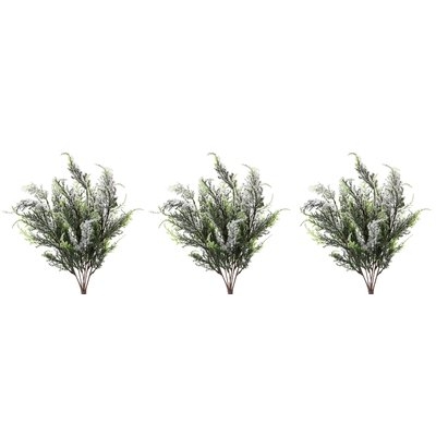 7 Stems Cypress Branch - Image 0