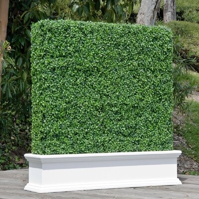 20 In X 20 In Artificial Boxwood Hedge Panel With Instant Installable Back Board (Set of 12) - Image 0
