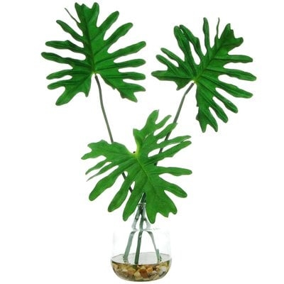 Tropical Leaves Desktop Foliage Plant in Clear Glass Vase - Image 0